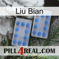 Liu Bian 20